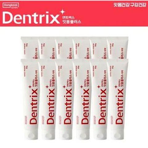 덴트릭스 잇몸플러스치약160gX12개