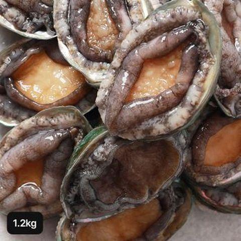 완도 한입활전복 1.2kg(35~45미)